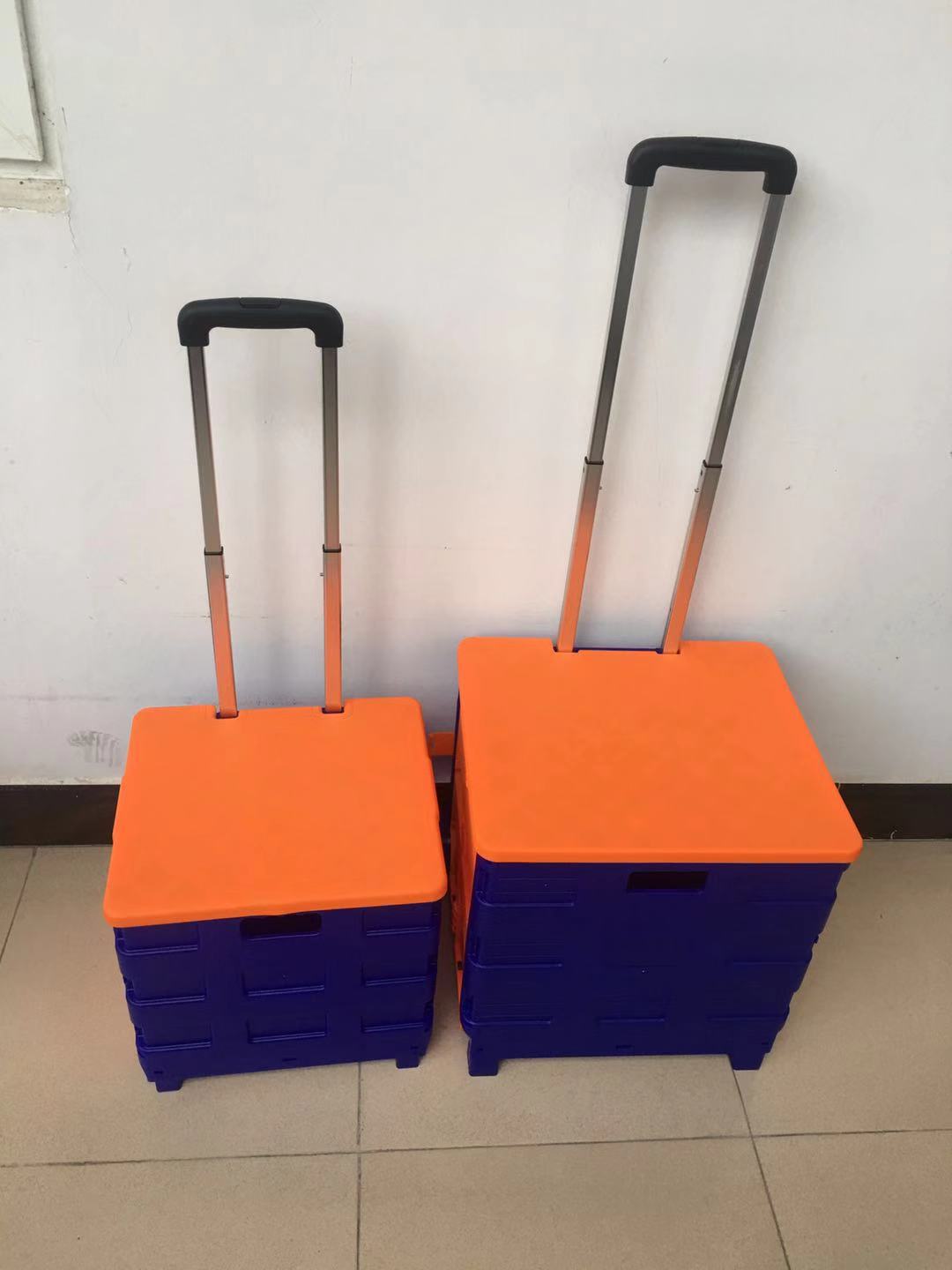 Korean customer 1000PCS shopping cart package delivery