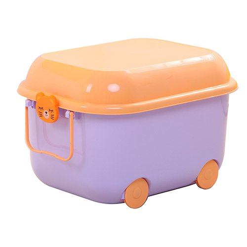Teach You Home Storage 12 Coups?（Section 1）