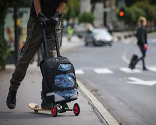 Hand Trolley storage bag skateboard easy to pick one