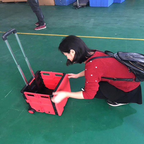 Korean major customer 2000 shopping carts is fully qualified