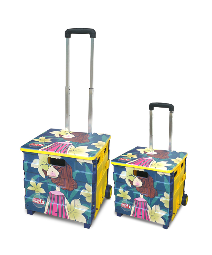 Hot Sale Products