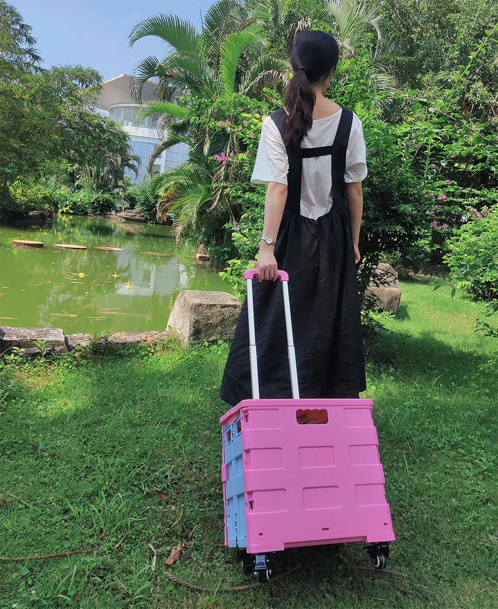Delivery of Folding Cart  Orders to Vietnam