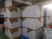 Strong European Sales Drive Monthly Reorders of Two Containers