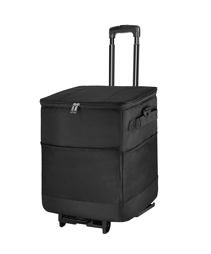 Collapsible Rolling Insulated Cooler Bag with Wheels